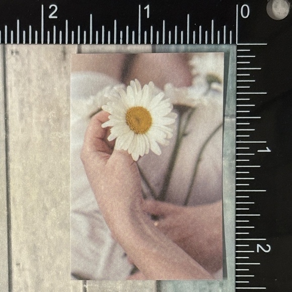 🌀10/$10🌀 White Dream Reusable Washi Sticker Decal - Picture 1 of 1